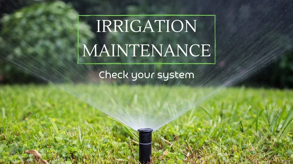 Reliable landscape design in Covington, LA by Irrigation Tech Plus