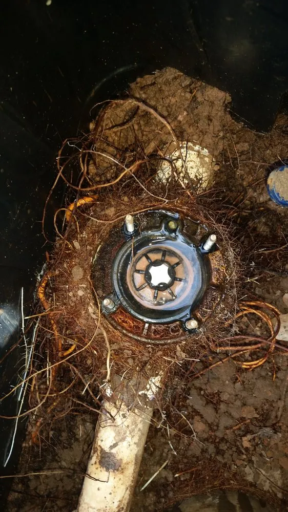 Trusted lawn care service for year-round maintenance in Edmond, OK by Irrigation Technicians