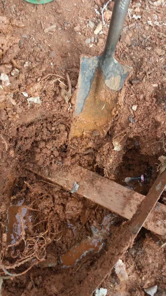 Top-rated residential landscaping with custom design across Edmond, OK - Irrigation Technicians