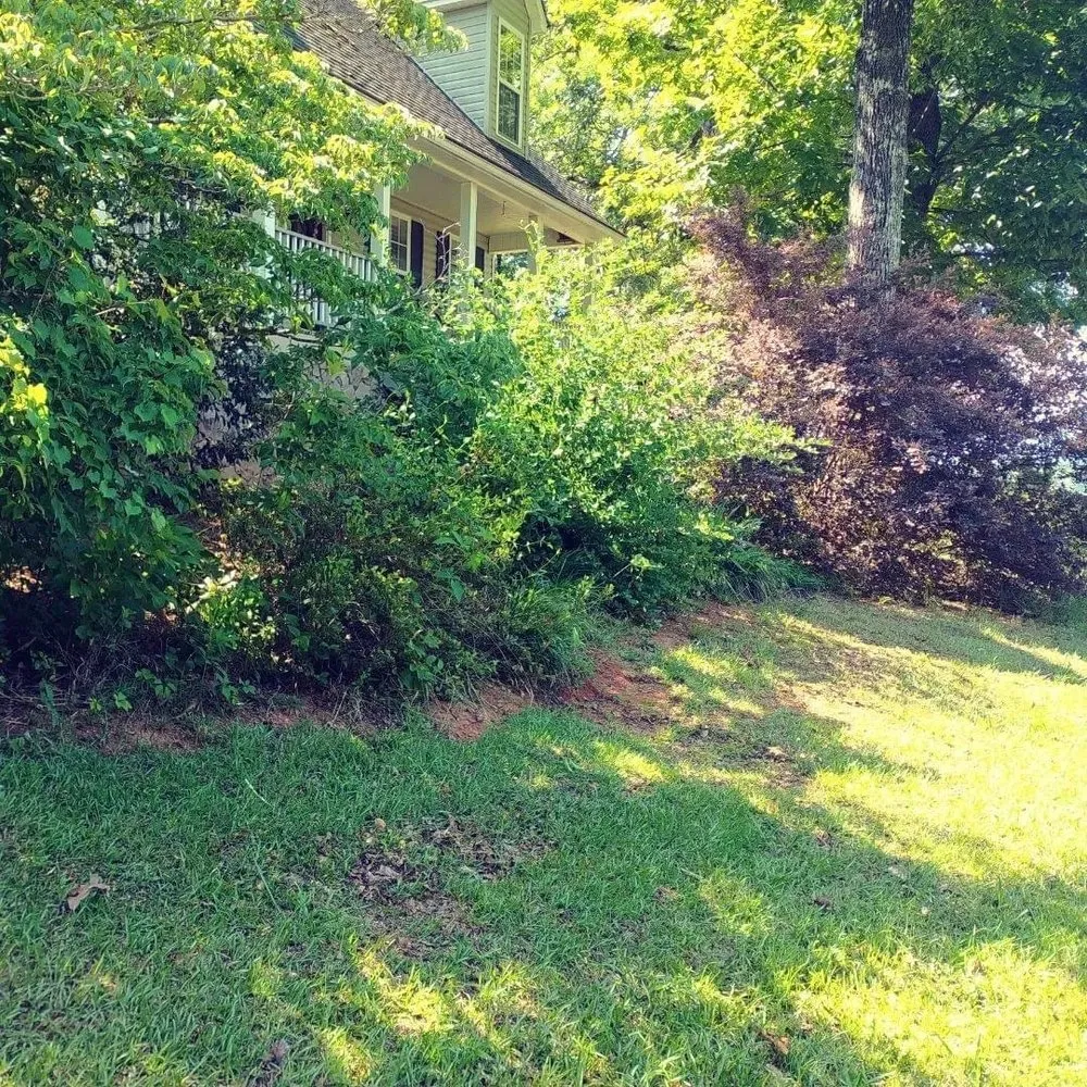 Expert landscaping services in Greenville, SC by Irrigation Unleashed