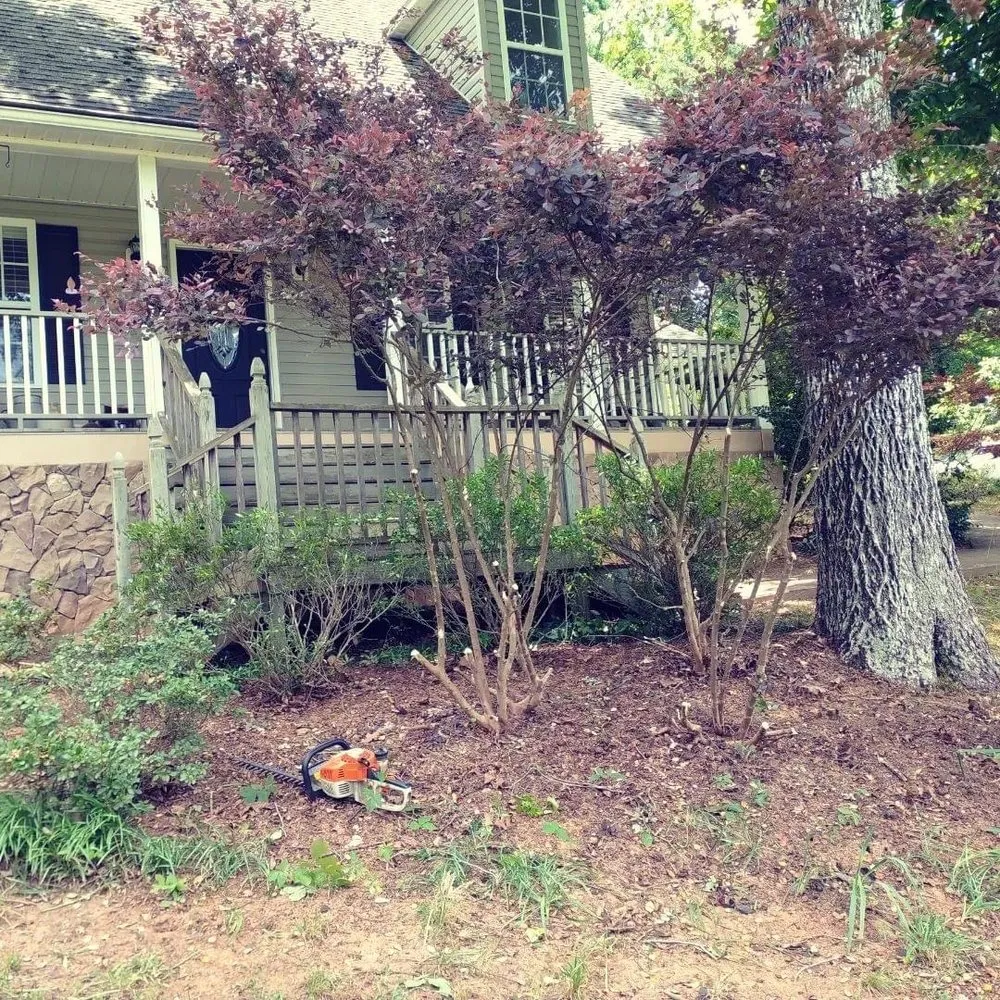 Reliable outdoor landscaping in Greenville, SC - Irrigation Unleashed