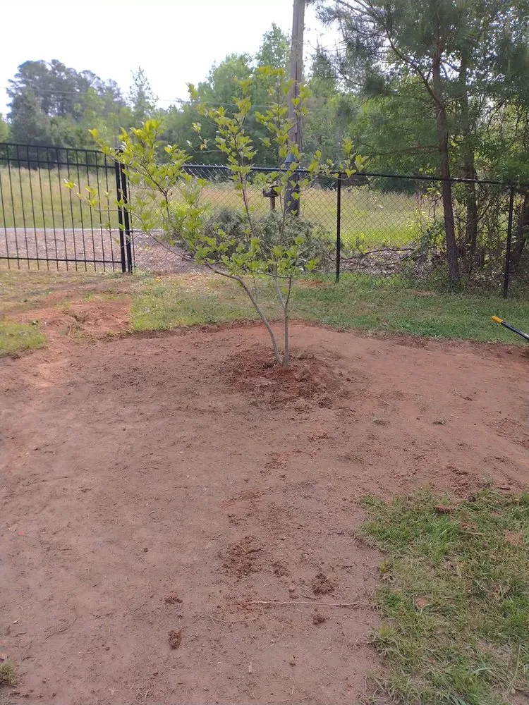 Professional lawn care service in Greenville, SC by Irrigation Unleashed