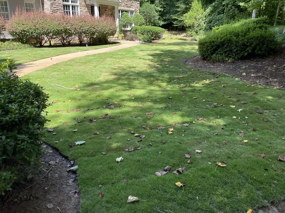 Affordable garden landscaping for year-round maintenance in Greenville, SC by Irrigation Unleashed