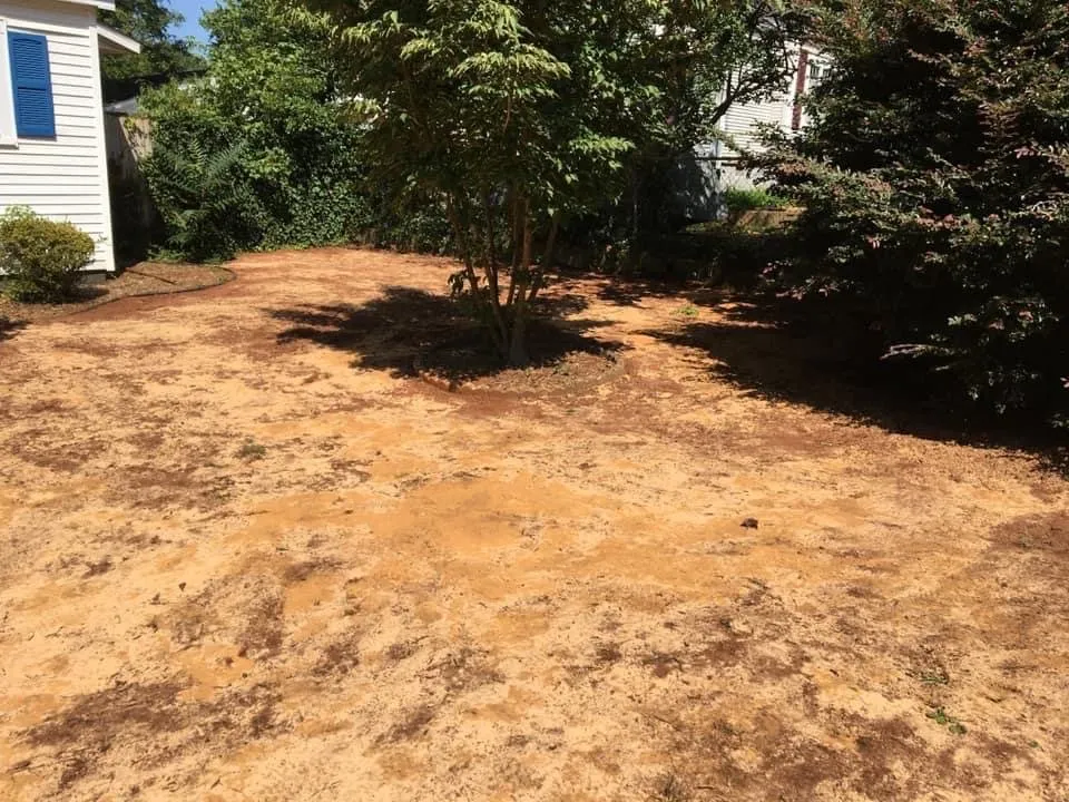 Expert residential landscaping in Greenville, SC - Irrigation Unleashed