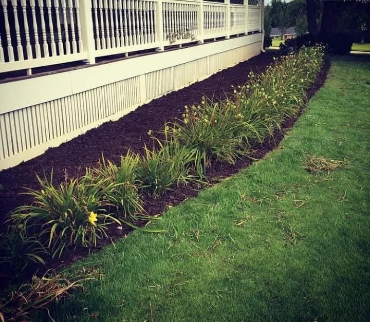 Reliable landscape design experts serving Greenville, SC - Irrigation Unleashed