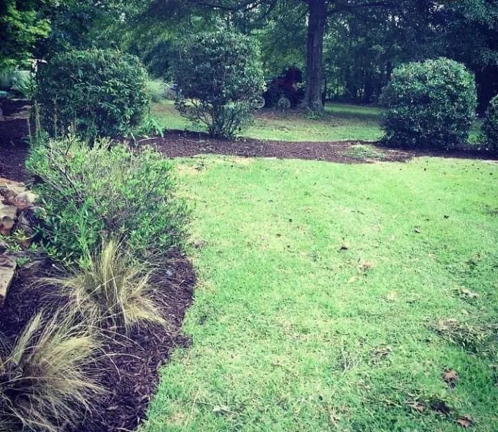 Local landscaping services in Greenville, SC - Irrigation Unleashed