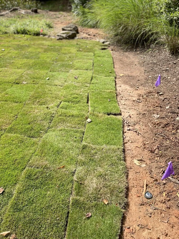 Expert lawn care service in Greenville, SC by Irrigation Unleashed