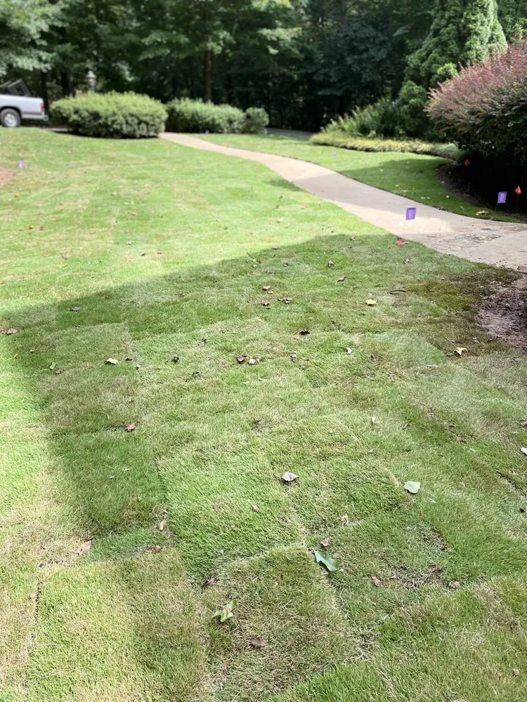 Top-rated landscape installation in Greenville, SC - Irrigation Unleashed