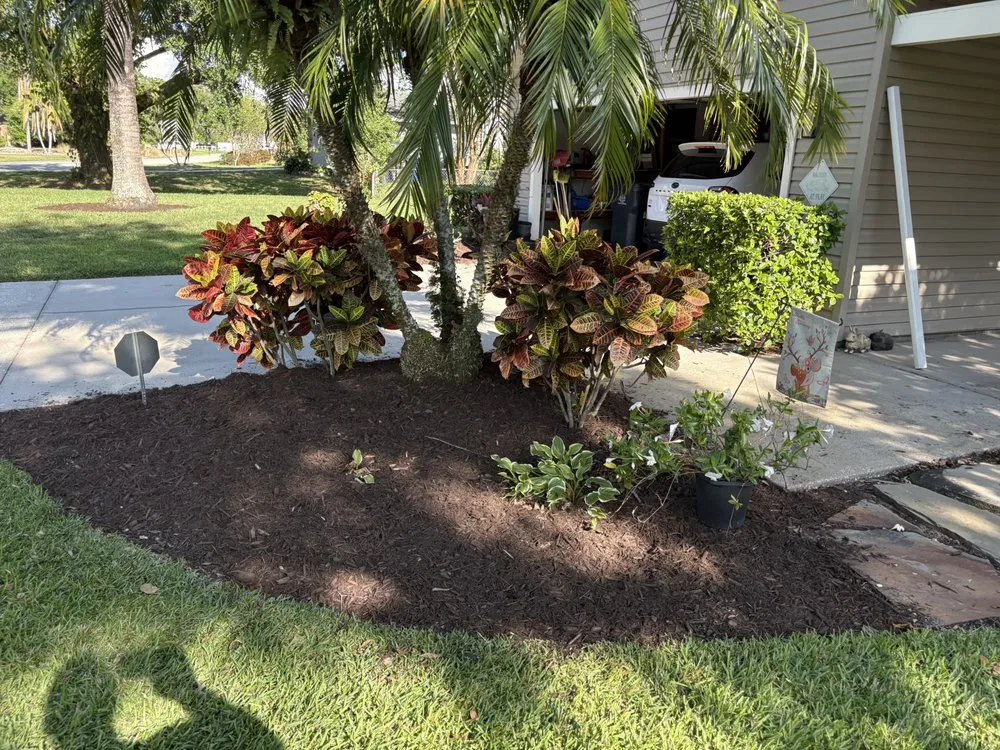 Top-rated lawn care service for outdoor upgrades across Ruskin, FL - Irrigators Landscape and Irrigation