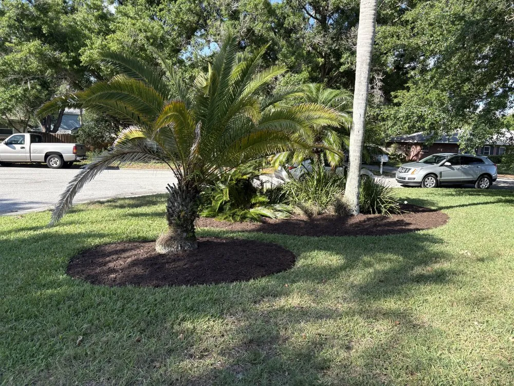 Expert outdoor landscaping for year-round maintenance in Ruskin, FL by Irrigators Landscape and Irrigation