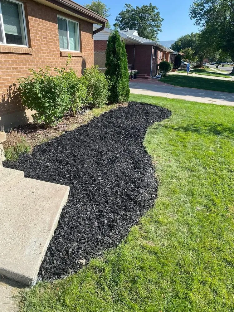 Affordable landscaping services in Knoxville, TN by Irrigo