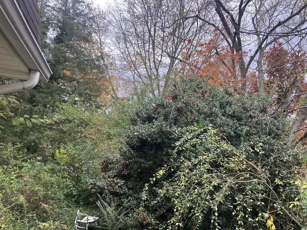 Reliable landscape installation in Knoxville, TN - Irrigo