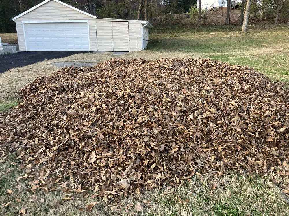 Custom garden landscaping for outdoor upgrades across Knoxville, TN - Irrigo