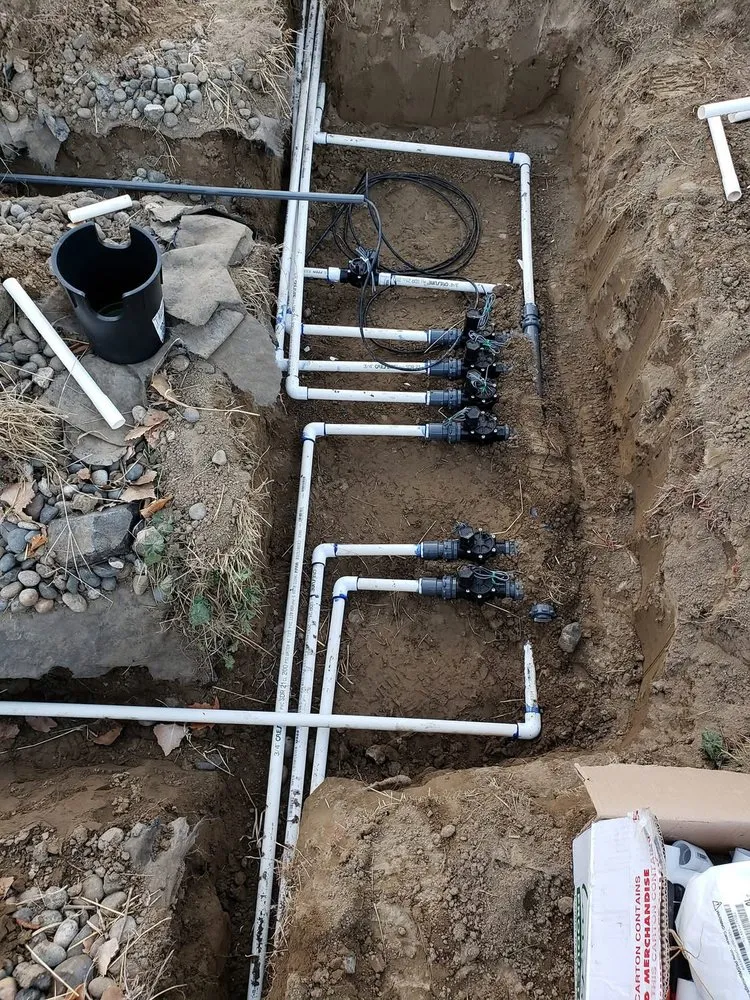 Expert yard cleanup service in Knoxville, TN - Irrigo