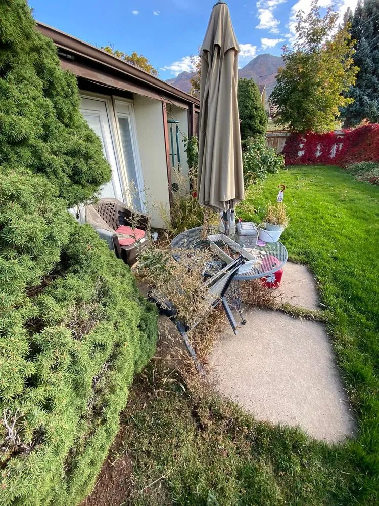 Affordable yard maintenance in Knoxville, TN - Irrigo