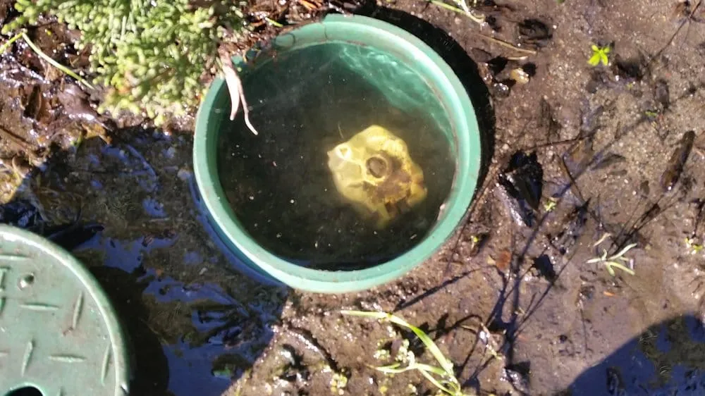 Custom yard maintenance for outdoor upgrades across Carlsbad, CA - Irritech Sprinkler Repair