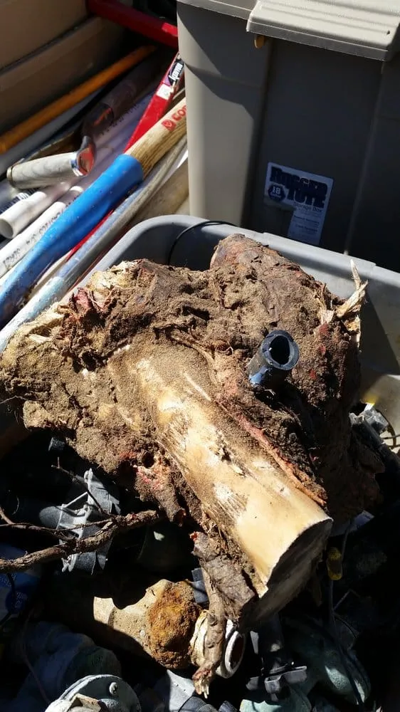 Expert lawn mowing service for homes in Carlsbad, CA by Irritech Sprinkler Repair