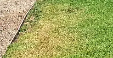 Professional yard cleanup service for outdoor upgrades in Carlsbad, CA by Irritech Sprinkler Repair