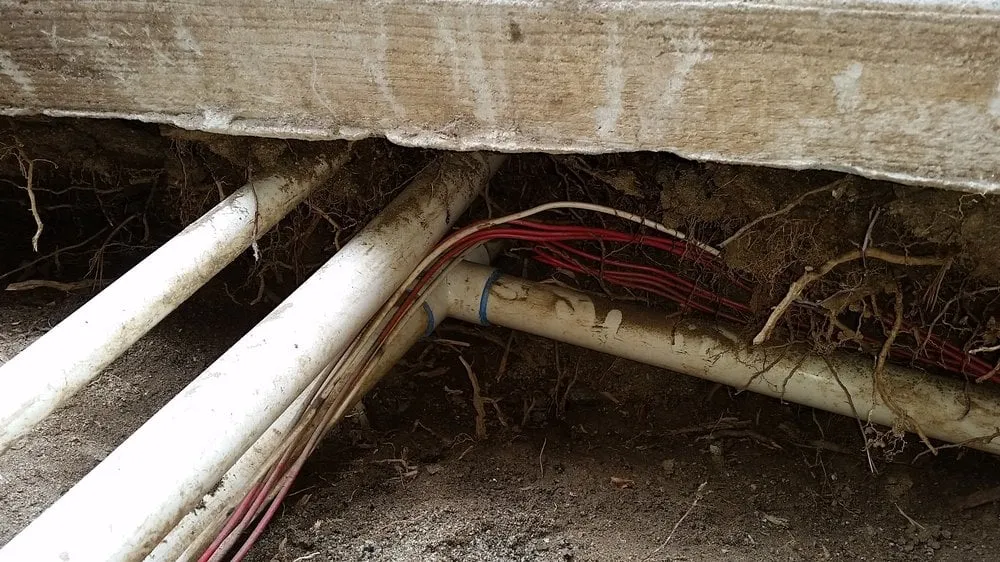 Local lawn care service for year-round maintenance across Carlsbad, CA - Irritech Sprinkler Repair