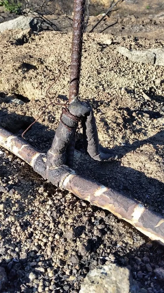 Professional yard cleanup service for outdoor upgrades in Carlsbad, CA by Irritech Sprinkler Repair