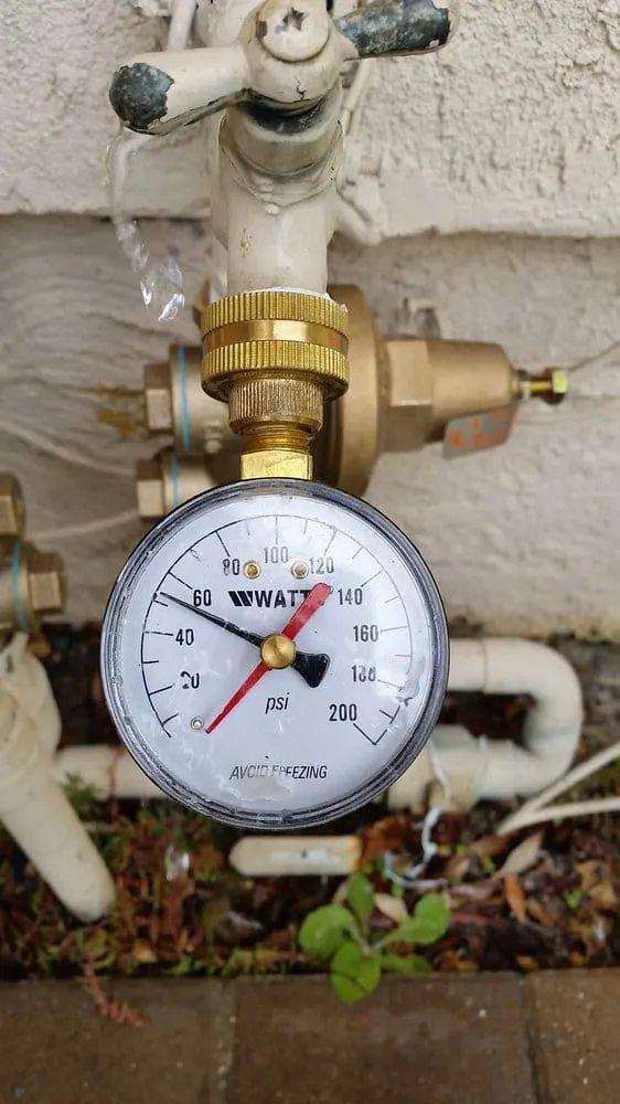 Reliable yard cleanup service experts serving Carlsbad, CA - Irritech Sprinkler Repair