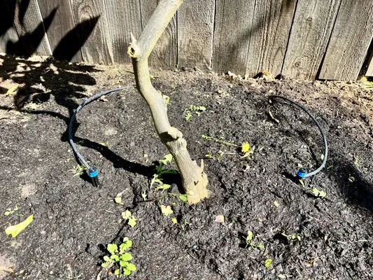 Irritech Sprinkler Repair