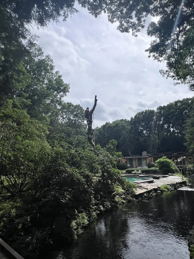 Trusted lawn mowing service experts serving Stamford, CT - Irvin Leiva LANDSCAPING