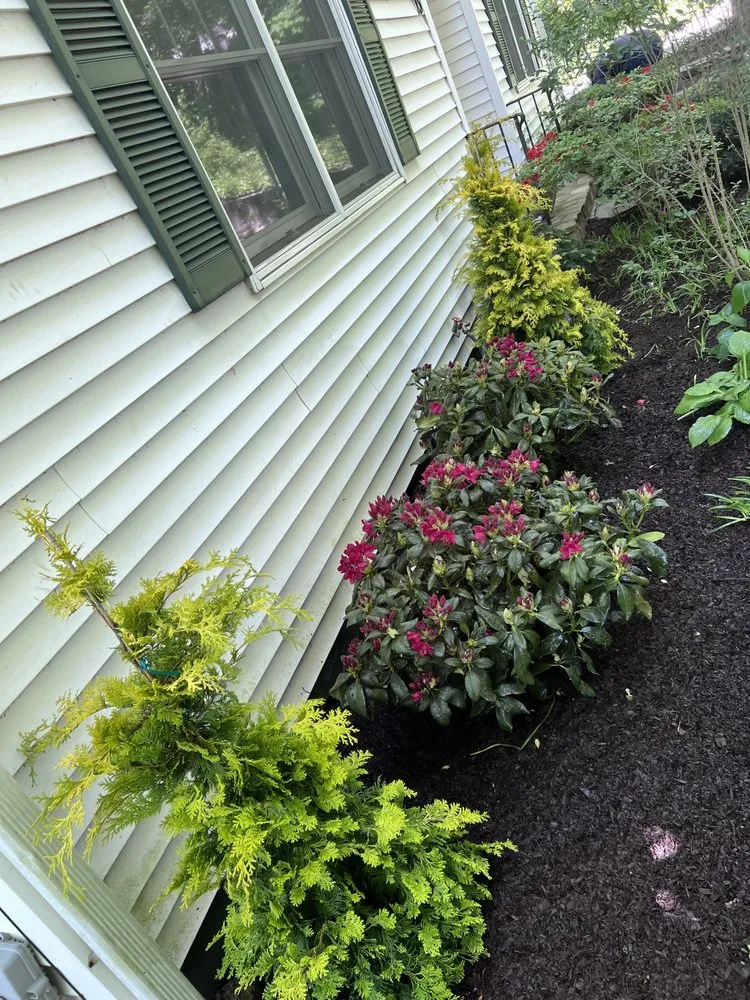 Top-rated yard maintenance in Stamford, CT - Irvin Leiva LANDSCAPING