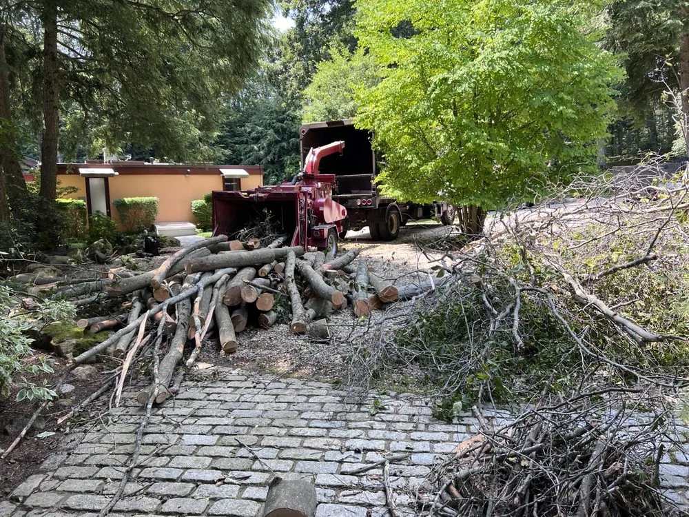 Professional lawn care service experts serving Stamford, CT - Irvin Leiva LANDSCAPING