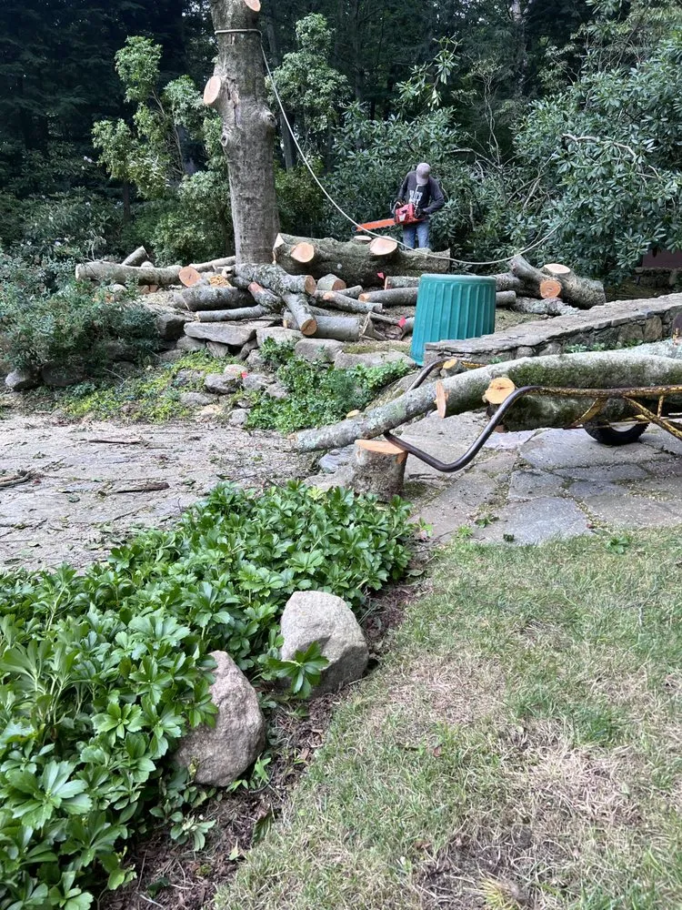 Top-rated landscape design in Stamford, CT by Irvin Leiva LANDSCAPING