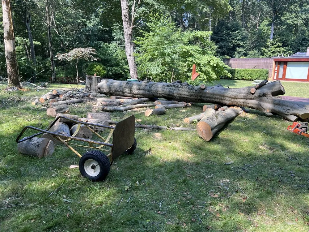 Local outdoor landscaping for residential properties across Stamford, CT - Irvin Leiva LANDSCAPING