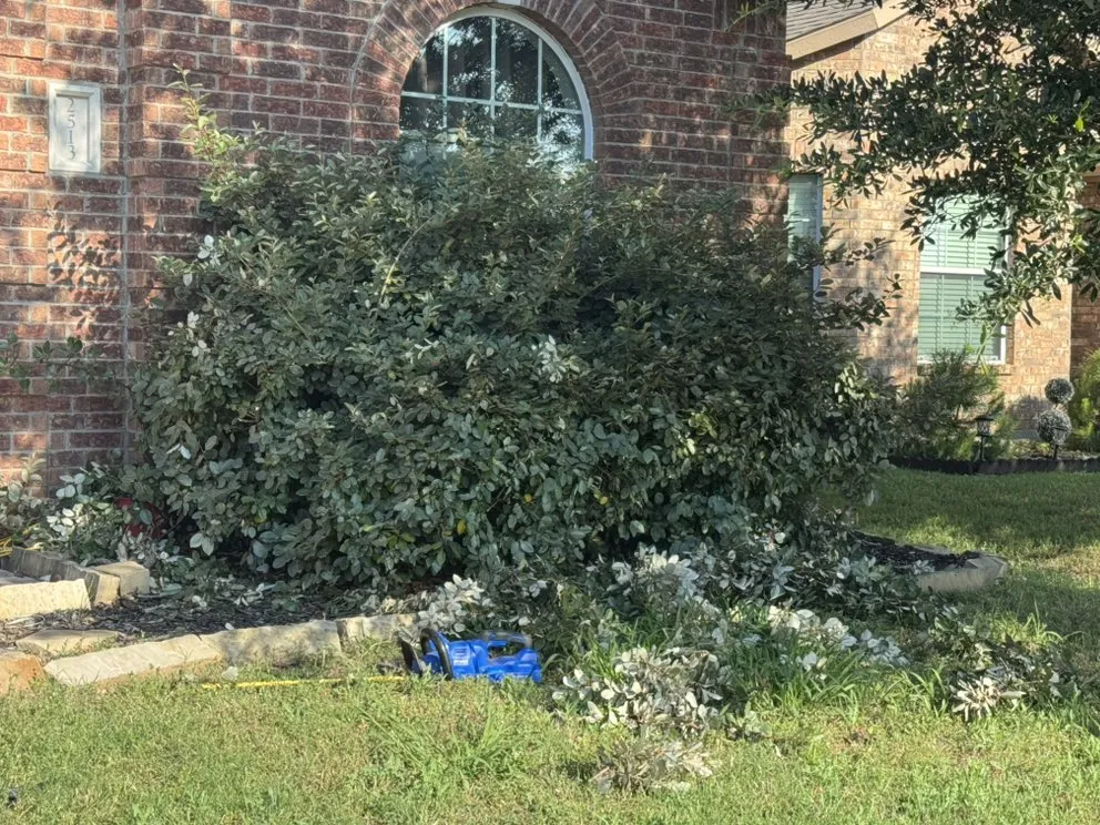 Local garden landscaping in Irving, TX by Irving Mowing and Landscapes