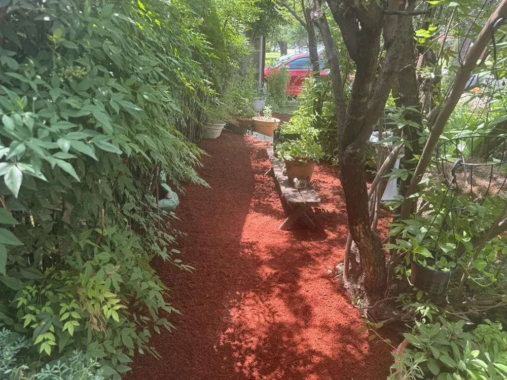 Affordable lawn mowing service for residential properties in Irving, TX by Irving Mowing and Landscapes