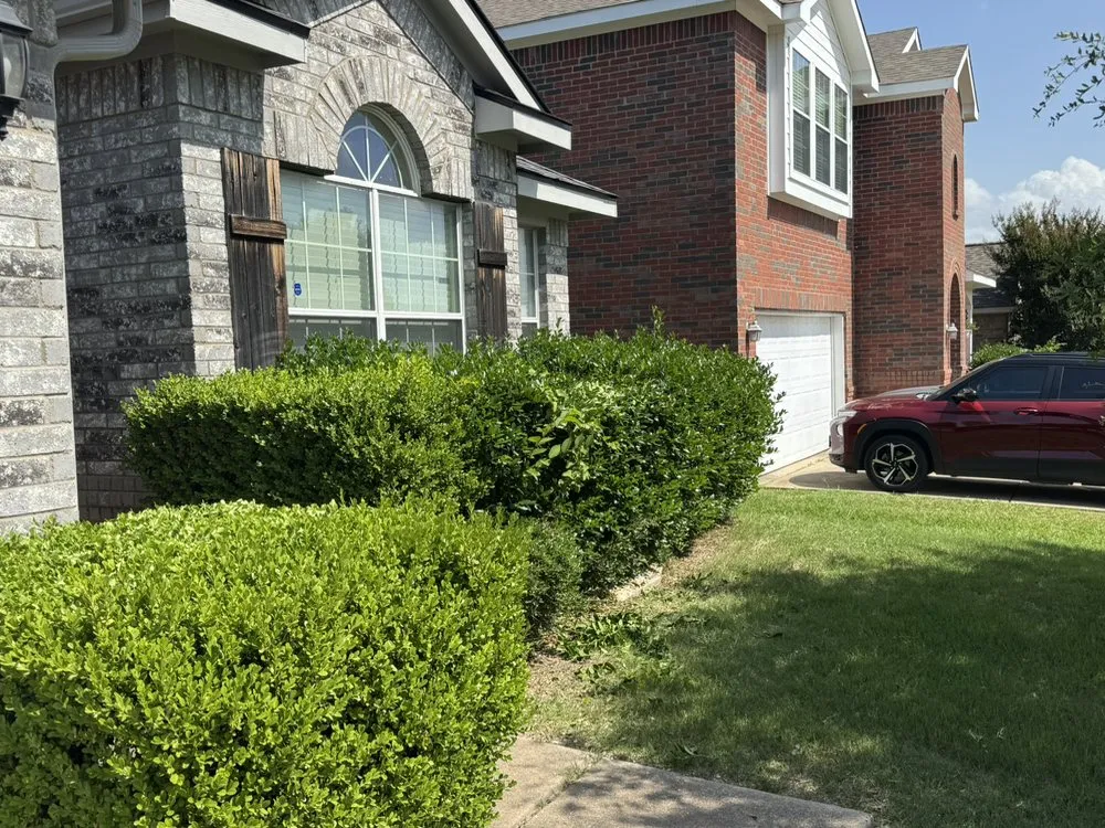 Local landscape design in Irving, TX - Irving Mowing and Landscapes