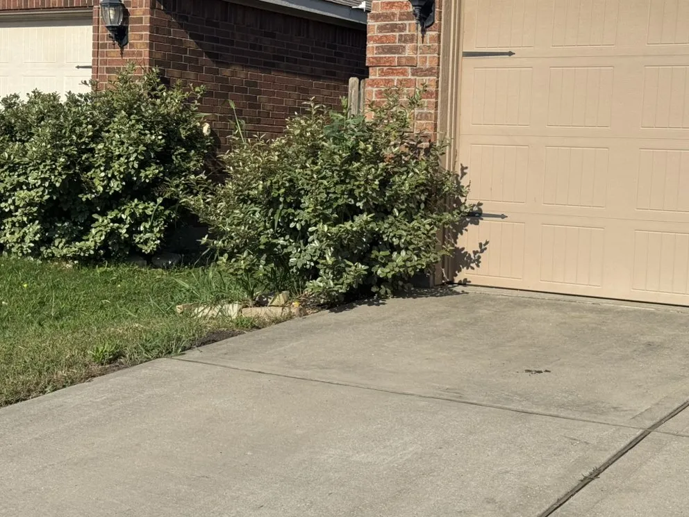 Top-rated lawn care service in Irving, TX by Irving Mowing and Landscapes