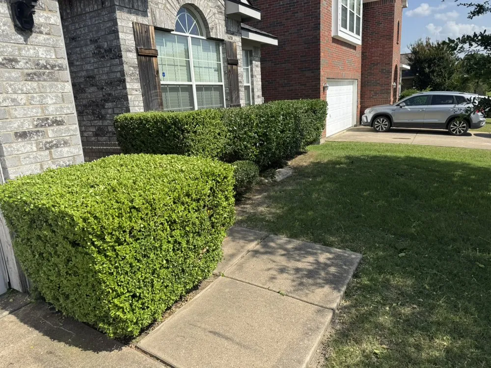 Reliable landscaping services in Irving, TX - Irving Mowing and Landscapes