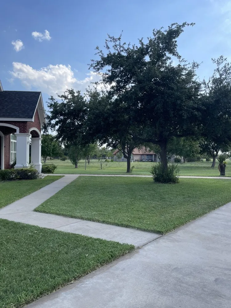 Trusted landscaping services in McAllen, TX - Irving's Lawn Service