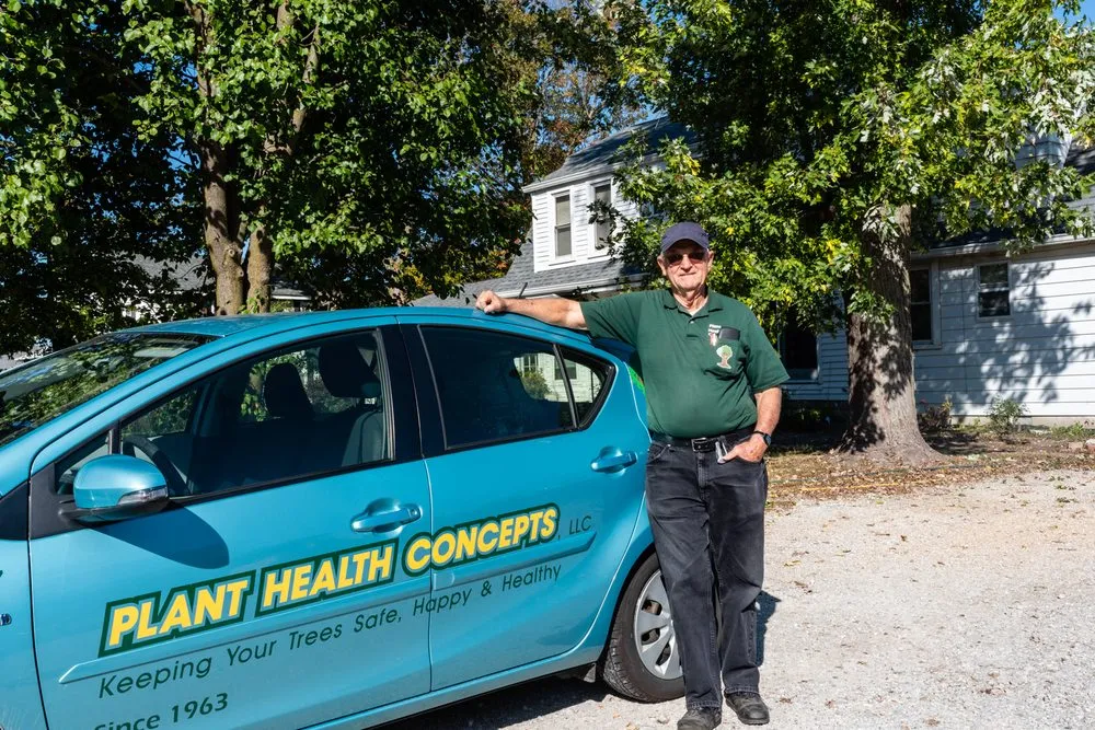 Local landscaping services in Greenfield, IN by Irvington Tree & Landscape Service