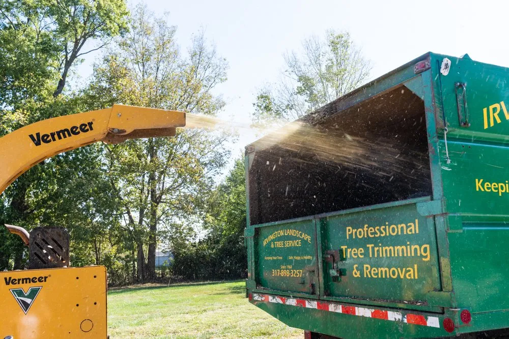 Trusted yard cleanup service in Greenfield, IN - Irvington Tree & Landscape Service