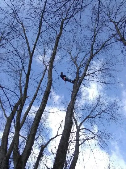 Custom lawn mowing service for residential properties in Greenfield, IN by Irvington Tree & Landscape Service