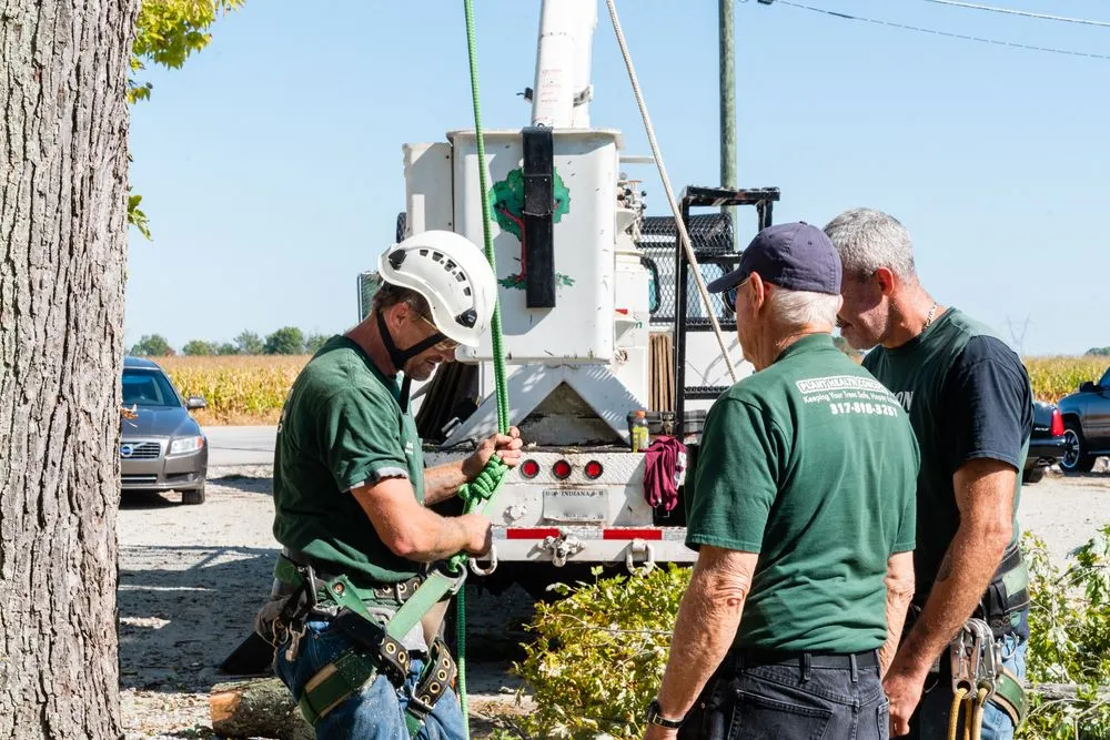 Trusted landscape installation near you in Greenfield, IN by Irvington Tree & Landscape Service