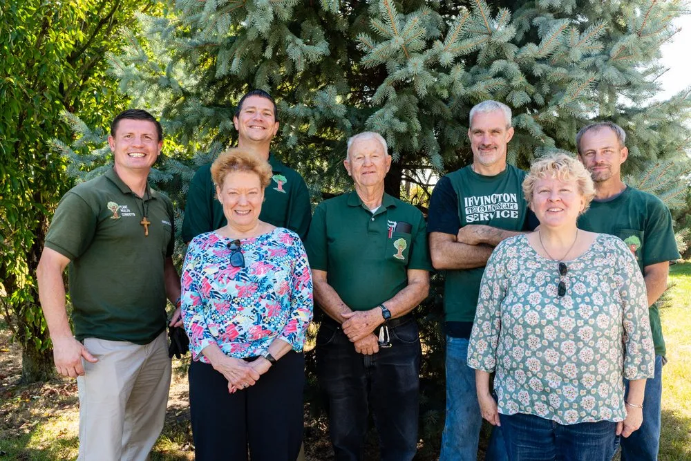 Local landscaping services for year-round maintenance across Greenfield, IN - Irvington Tree & Landscape Service