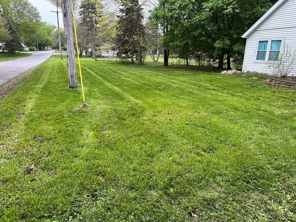 Custom lawn care service for residential properties in Vicksburg, MI by Irwin and Sons Lawn Service