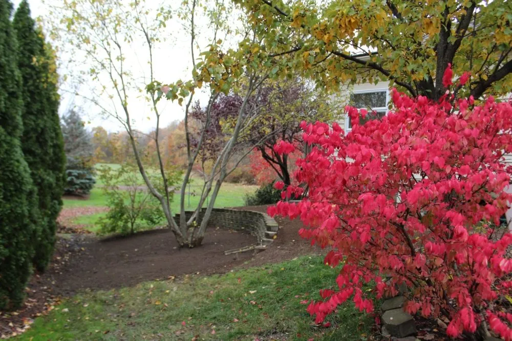 Reliable landscape installation for outdoor upgrades in Pittsford, NY by Irwing Contractor