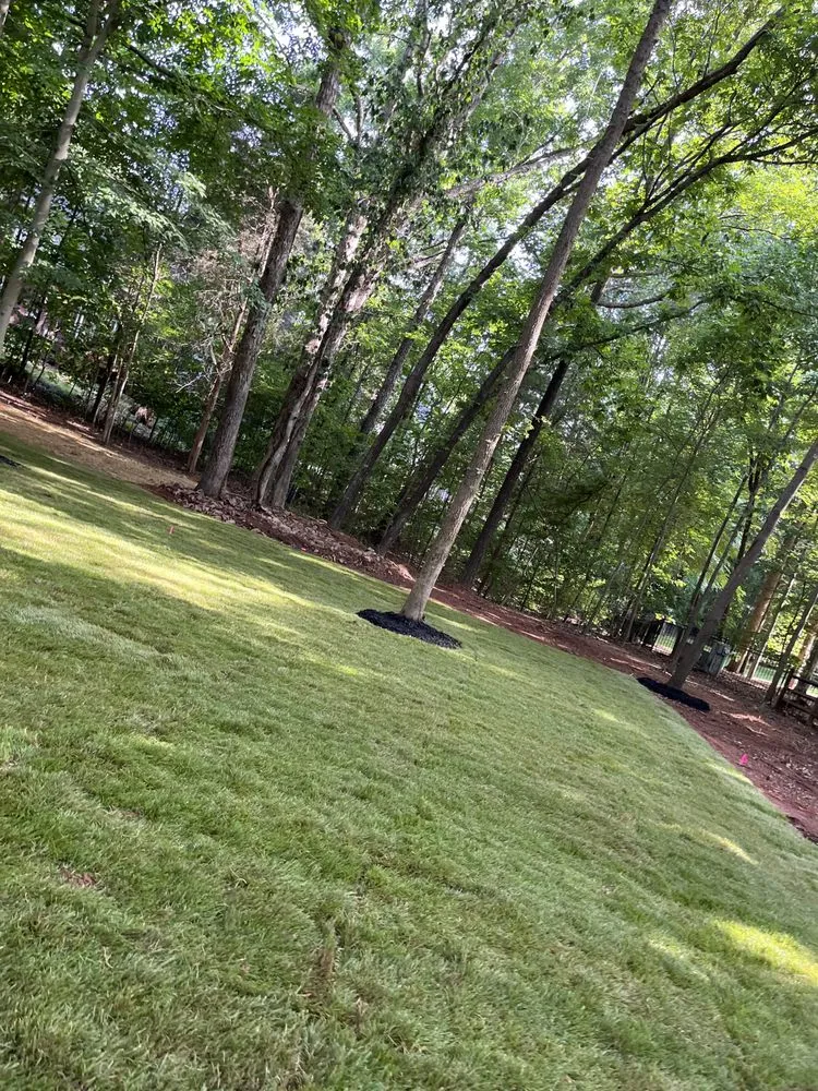 Custom yard cleanup service in Stallings, NC by IS Landscape