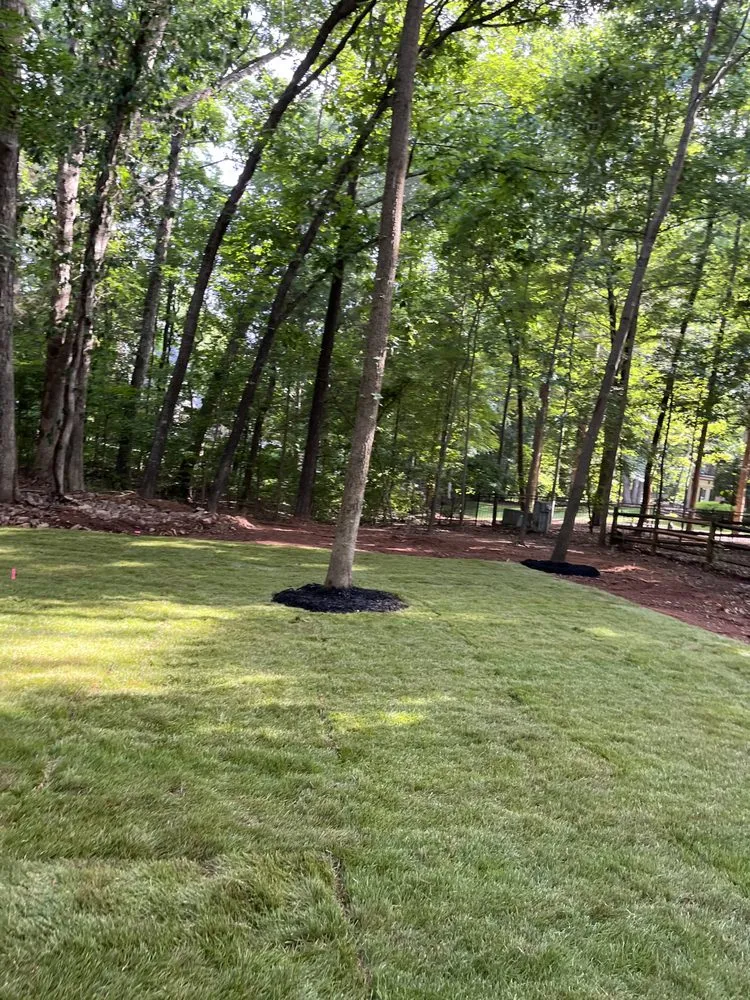 Local garden landscaping in Stallings, NC - IS Landscape