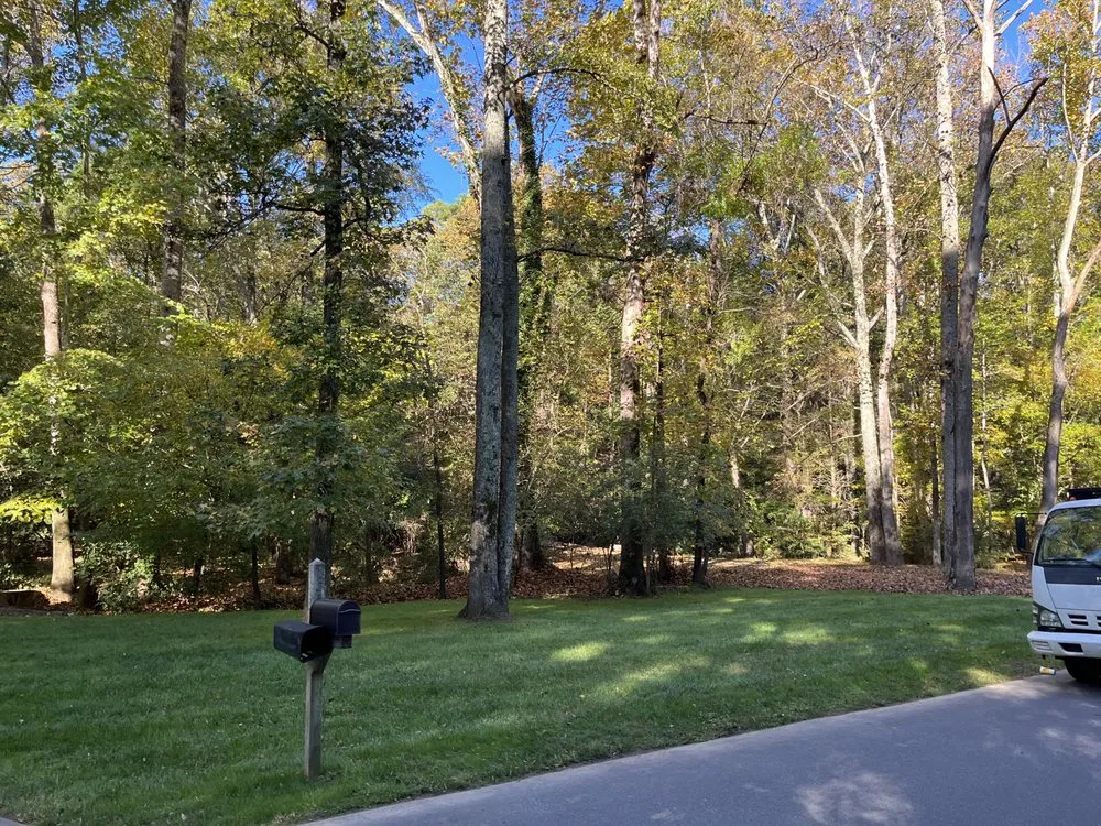 Reliable yard cleanup service in Stallings, NC by IS Landscape