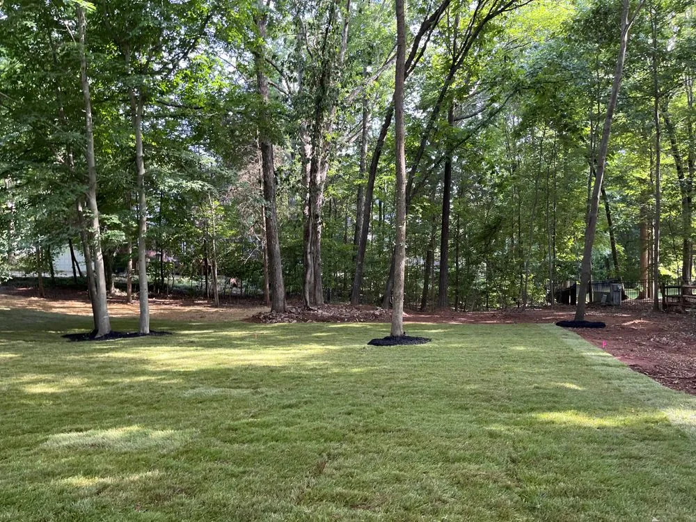Custom yard cleanup service near you in Stallings, NC by IS Landscape