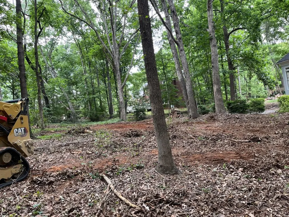 Reliable lawn care service in Stallings, NC - IS Landscape