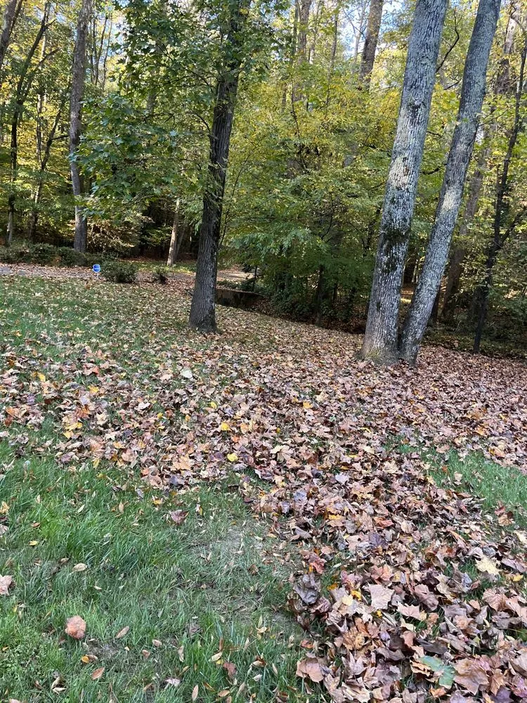 Professional landscape installation experts serving Stallings, NC - IS Landscape